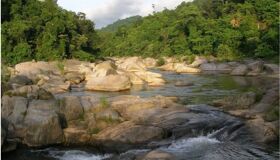 Begin your visa-prepared day with Vietnam’s tranquil ambiance